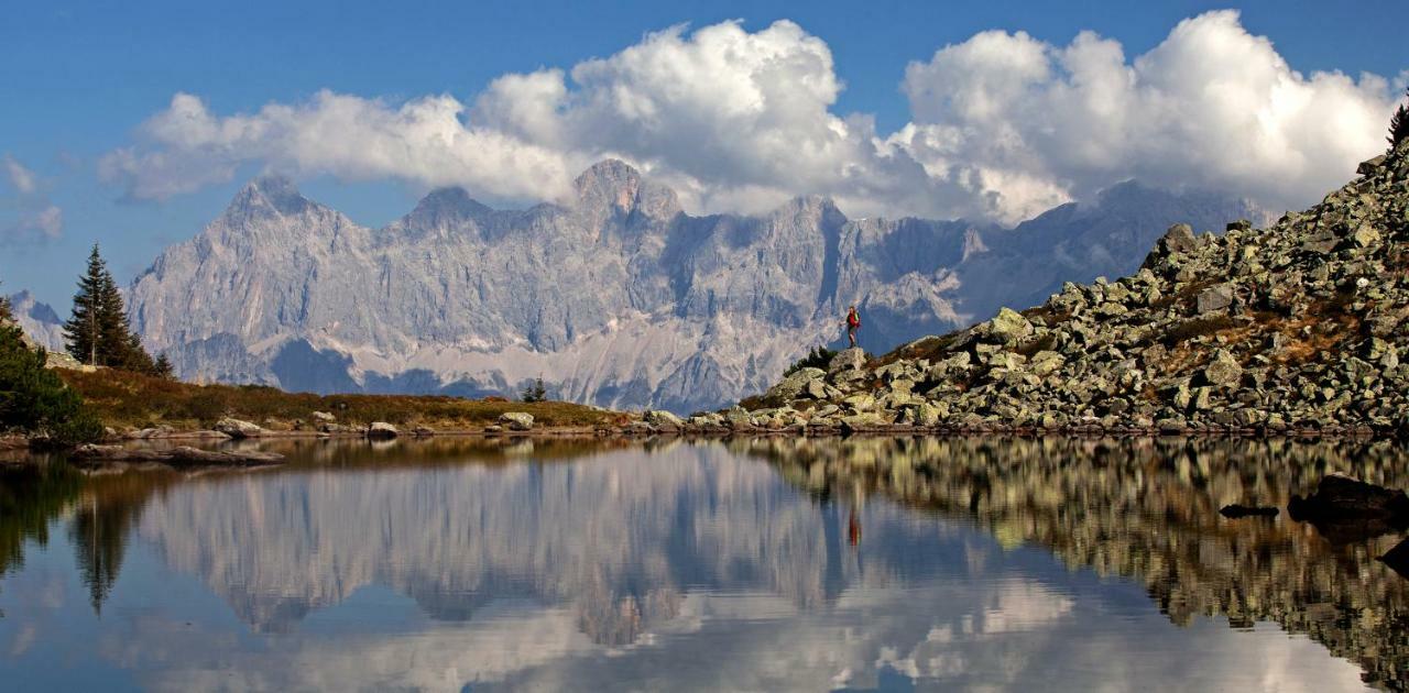 فندق Alpengasthof Fichtenheim رامساو أم داتشستين المظهر الخارجي الصورة